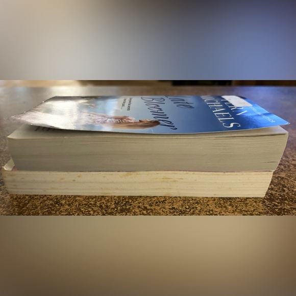 (3 for $20)Fern Michaels, 2 softcover novels Good Used Condition - Picture 7 of 9